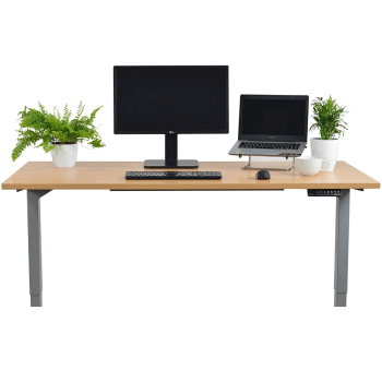 Ergotopia Desktopia Pro: Bild 4